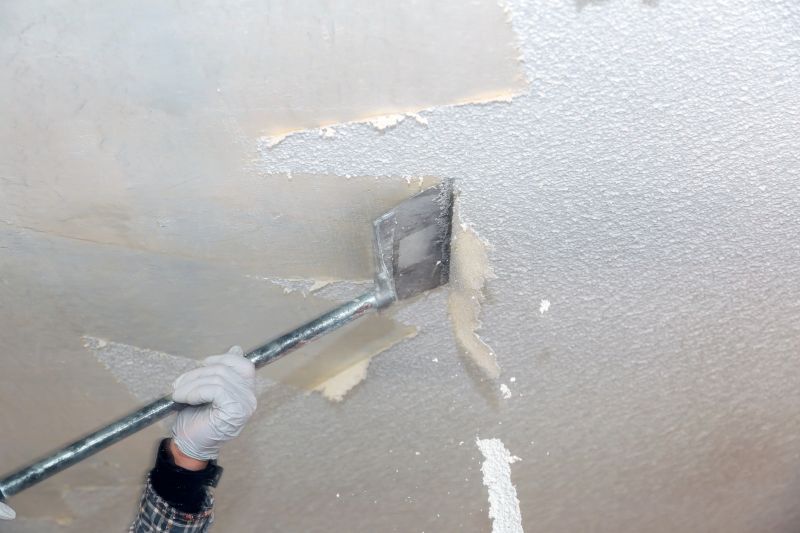 Ceiling Scraping