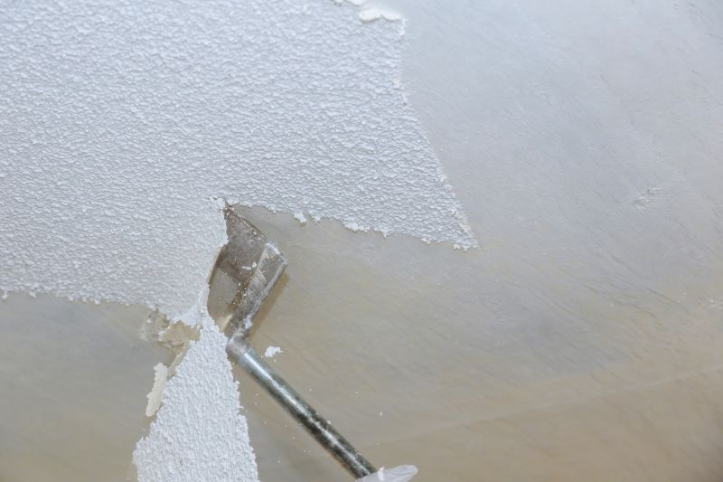Ceiling Scraping