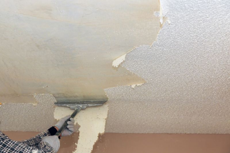 Textured Ceiling Removal in Georgetown, TX